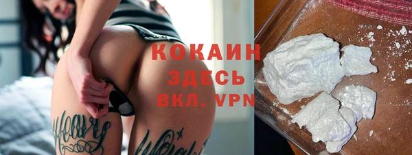 твердый Алексин
