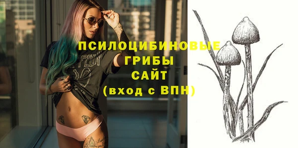 ECSTASY Алексеевка