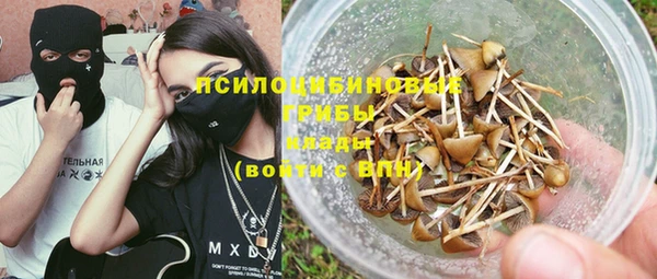 ECSTASY Алексеевка