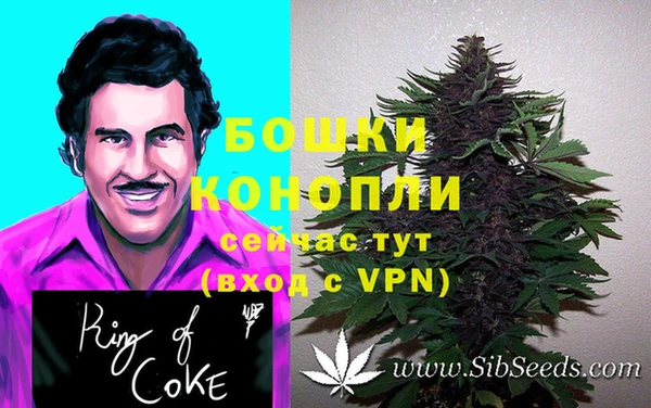соль курить ск Алзамай