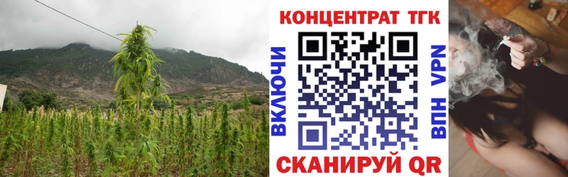 наркошоп  Темрюк  ОМГ ОМГ сайт  Дистиллят ТГК вейп 