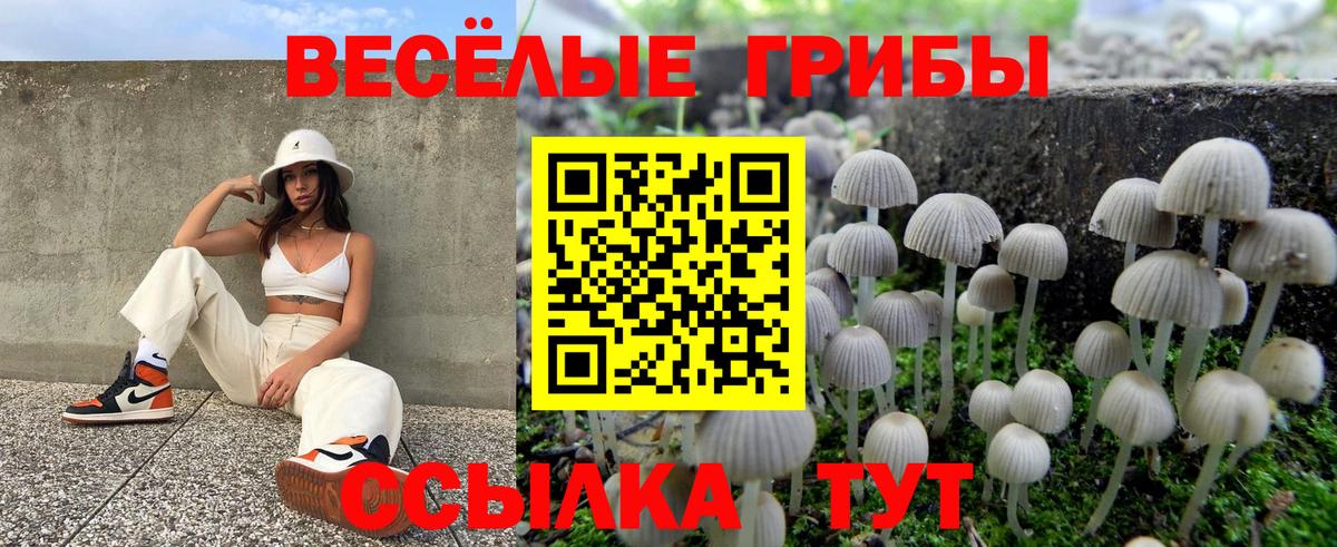 Псилоцибиновые грибы ЛСД  Вход с VPN  Темрюк 