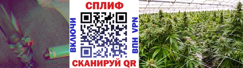 Бошки Шишки AK-47  Темрюк 