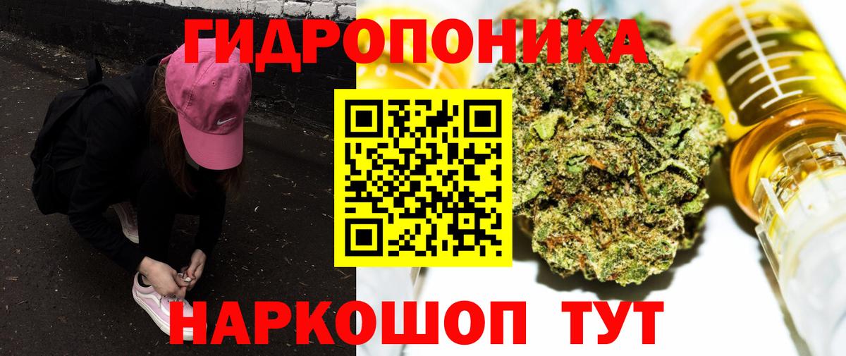 Темрюк  Шишки марихуана Bruce Banner  Вход с VPN  Шишки марихуана план  Конопля VHQ  Бошки Шишки Amnesia 